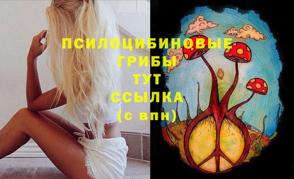 синтетический гашиш Алексин