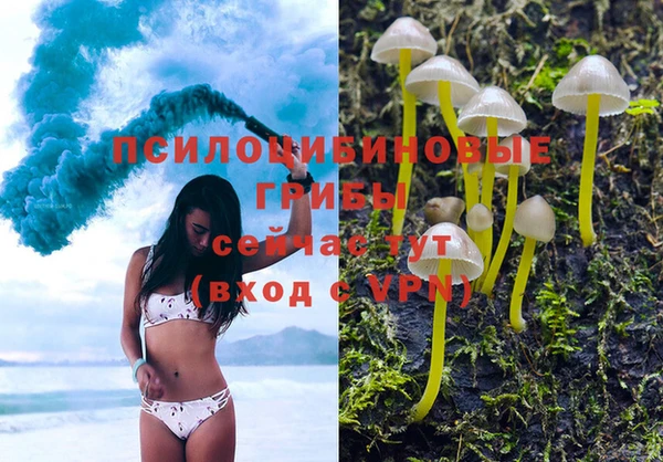 синтетический гашиш Алексин